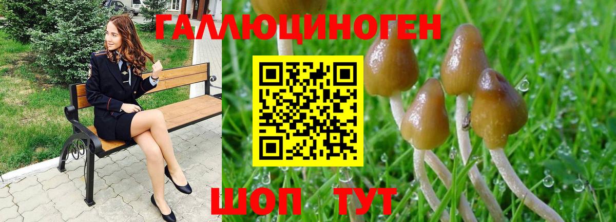 Псилоцибиновые грибы MAGIC MUSHROOMS Жуковский