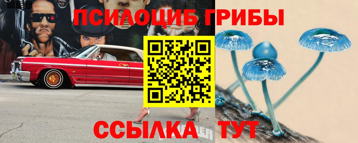 Галлюциногенные грибы Magic Shrooms  Вход с VPN  Жуковский  Псилоцибиновые грибы MAGIC MUSHROOMS 